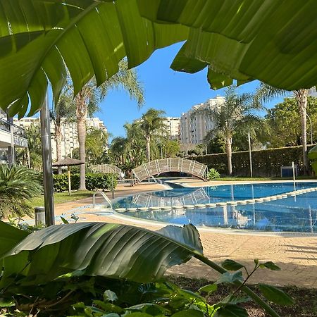 Апартаменты Margo El Eden Residencial Гандия Экстерьер фото